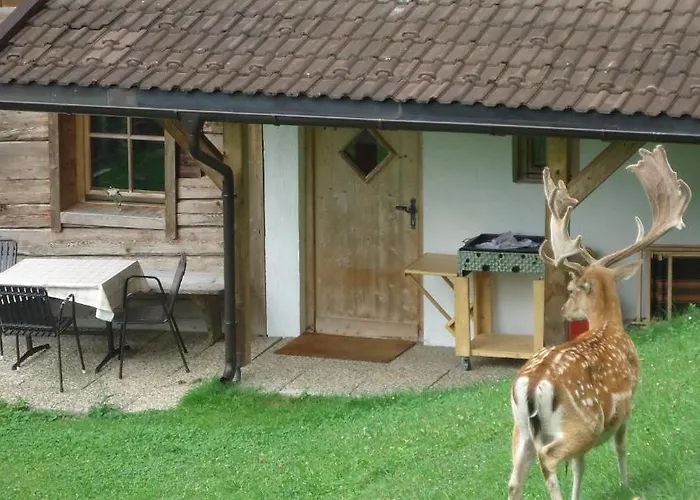 Appartement & Goldschmied *