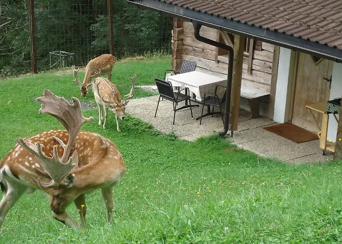 Appartement & Goldschmied Fuegenberg