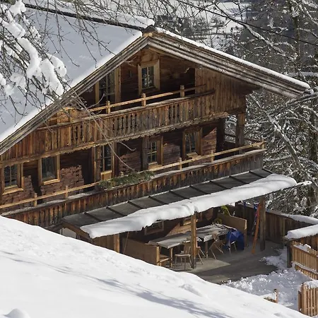 Apartmán & Goldschmied